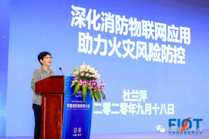 原公安部消防局副局长兼总工杜兰萍致辞 原公安部消防局副局长兼总工杜兰萍致辞